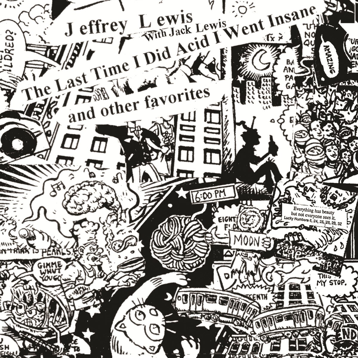 Afbeelding van Jeffrey Lewis - The Last Time I Did Acid I Went Insane