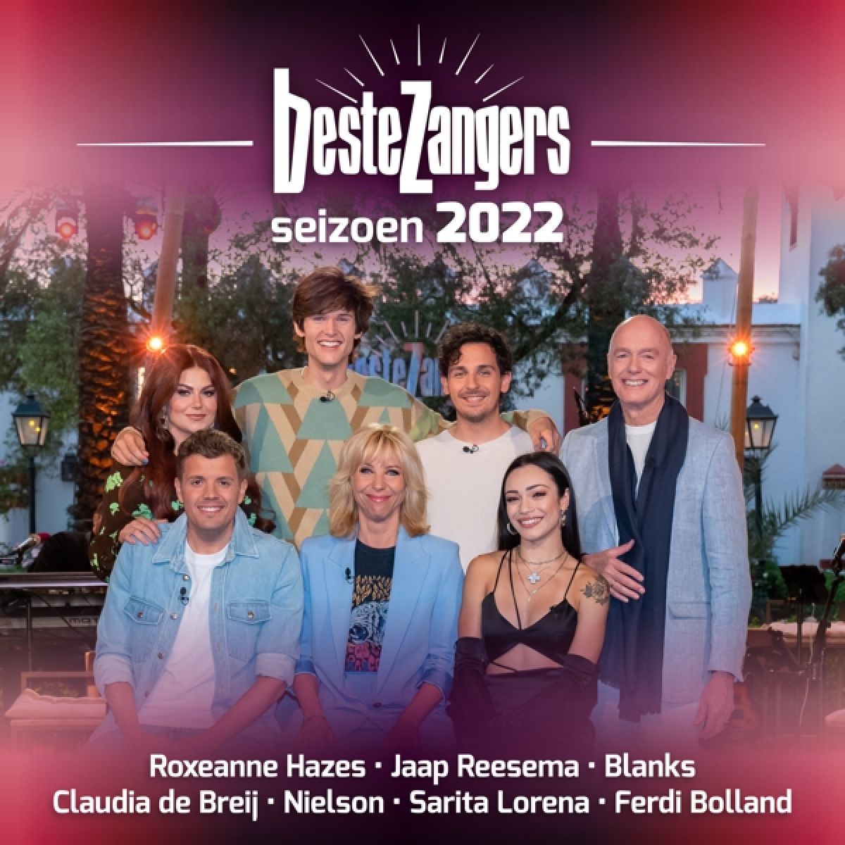 Afbeelding van Various Artists - Beste Zangers Seizoen 2022