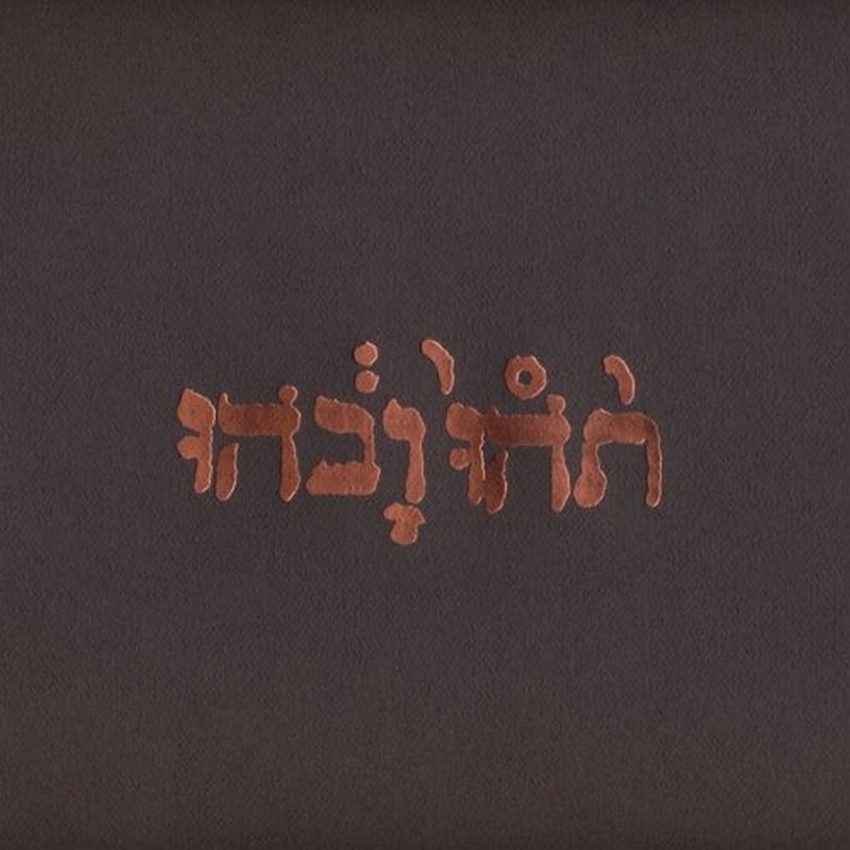 Afbeelding van Godspeed You! Black Emperor - Slow Riot For New Zero Kanada