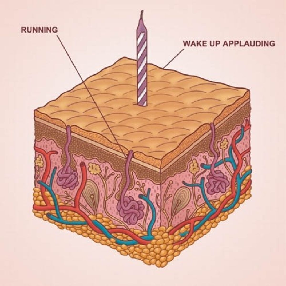 Afbeelding van Running - Wake Up Applauding