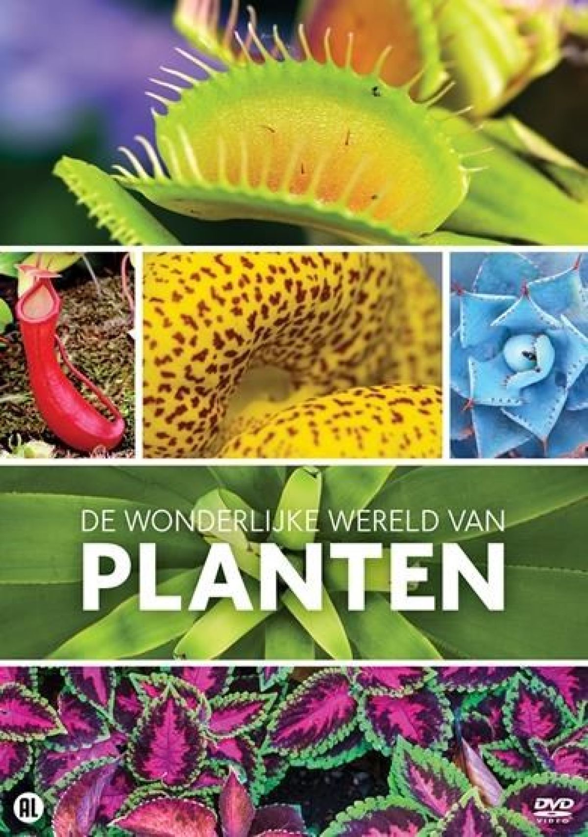 Wonderlijke Wereld Van Planten