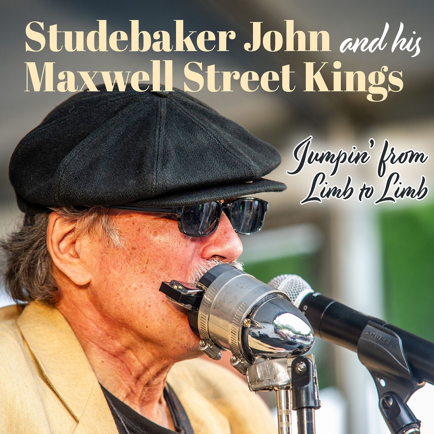 Studebaker John's Maxwell Street Kings - Jumpin' From Limb To Limb