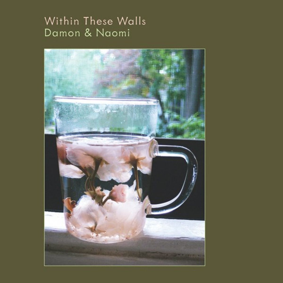 Afbeelding van Damon & Naomi - Within These Walls