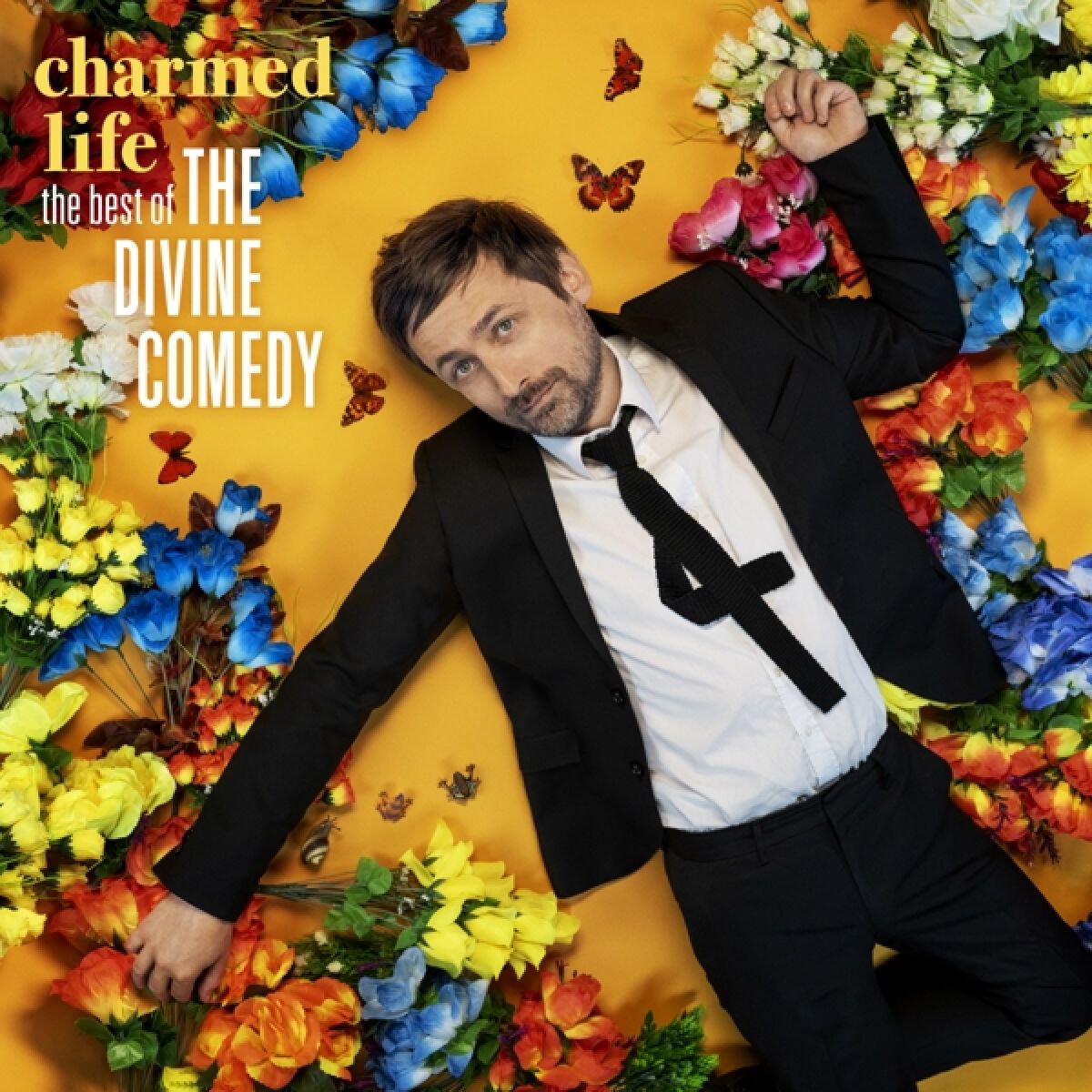 Afbeelding van The Divine Comedy - Charmed Life (The Best Of The Divine Comedy)