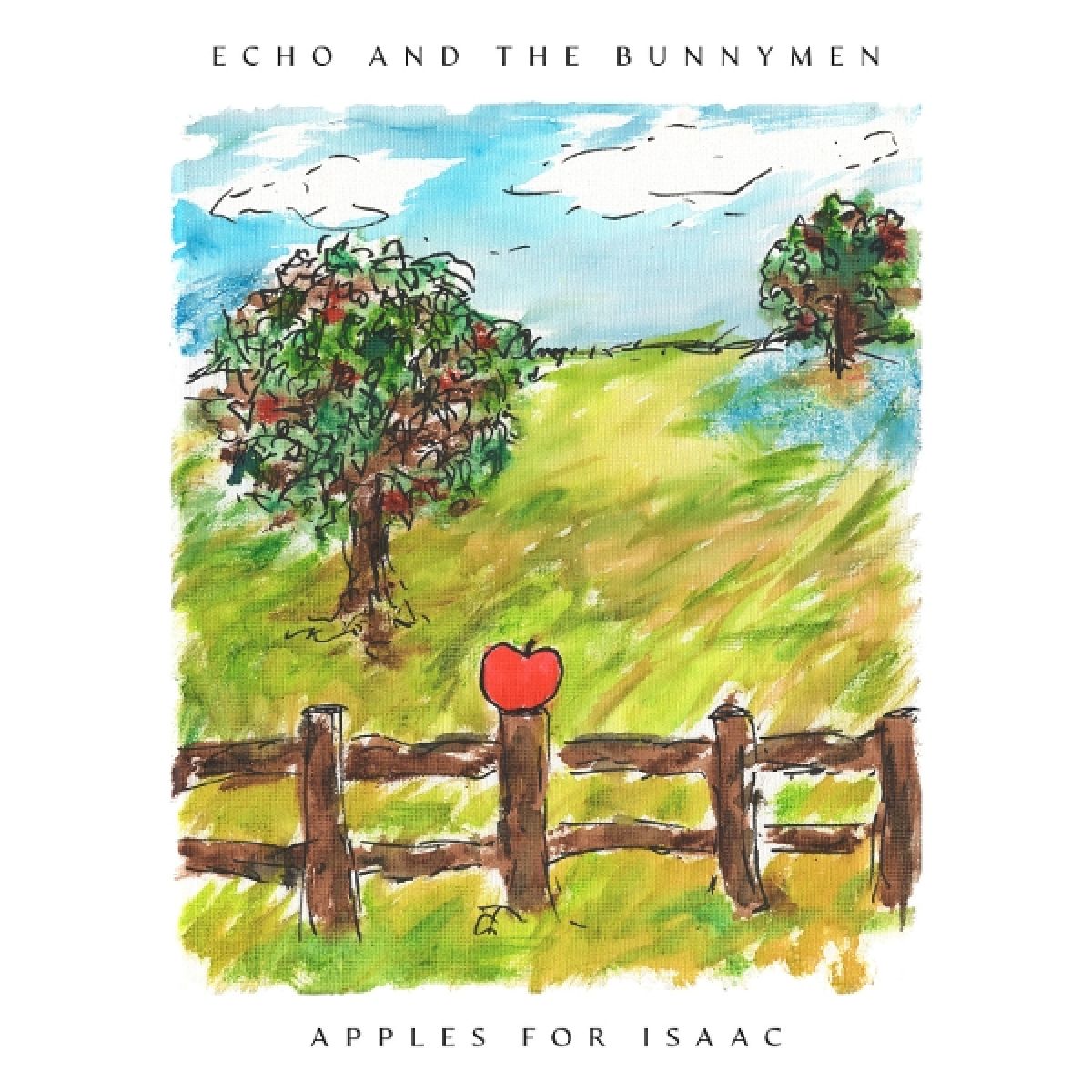 Afbeelding van Echo & The Bunnymen - Apples For Isaac