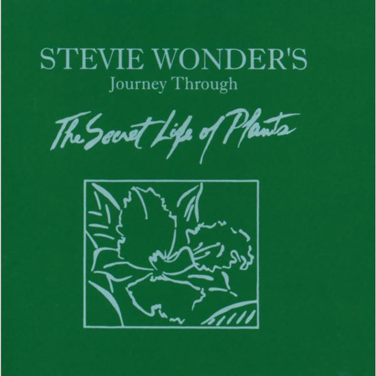 Afbeelding van Stevie Wonder - Journey Through The Secret