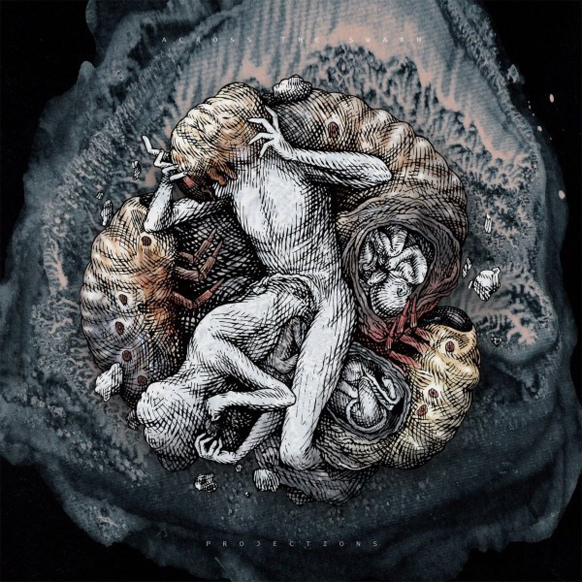Afbeelding van Across The Swarm - Projections