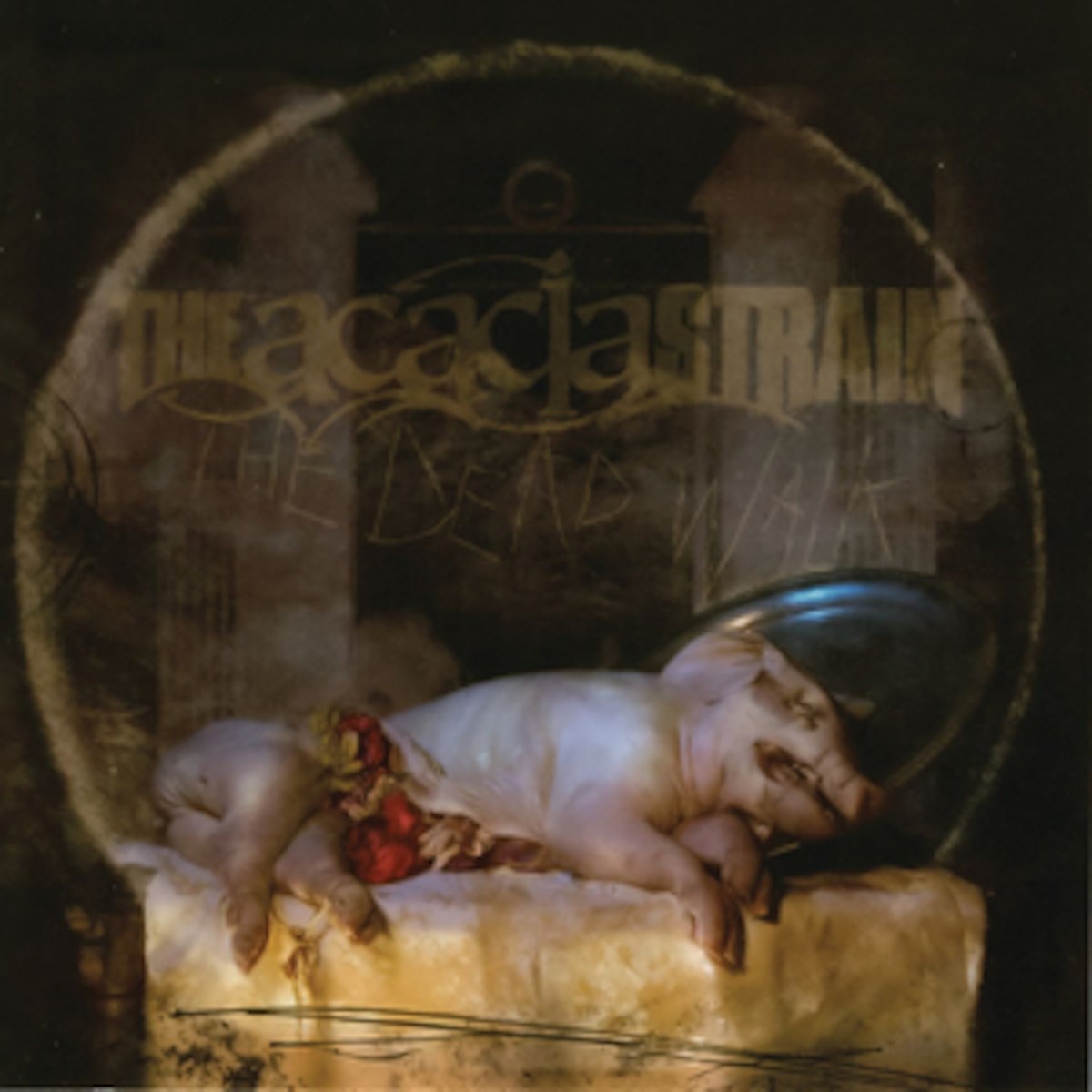 Afbeelding van Acacia Strain - The Dead Walk