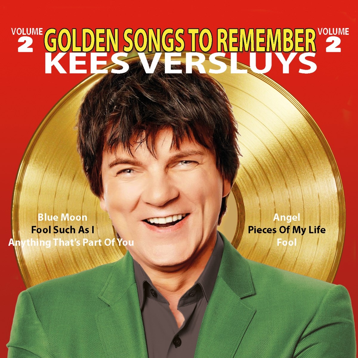 Afbeelding van Golden Songs To Remember (vol 2)
