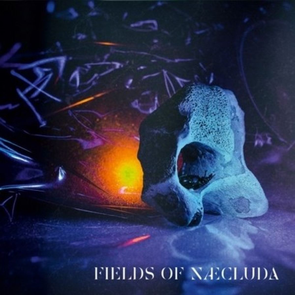Afbeelding van Fields Of Naeclude