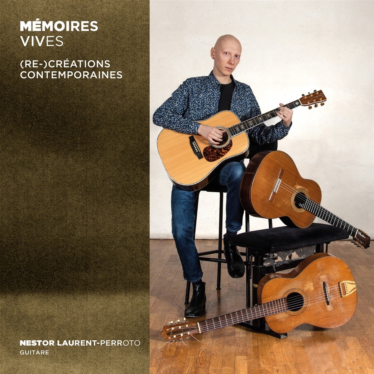 Afbeelding van Nestor Laurent-Perroto - Memoires Vives