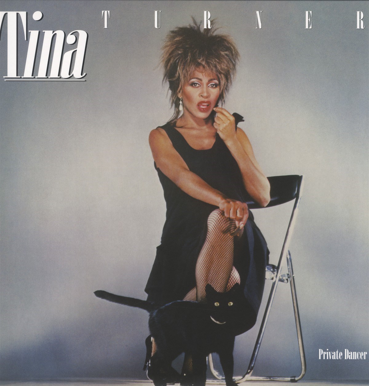 Afbeelding van Tina Turner - Private Dancer
