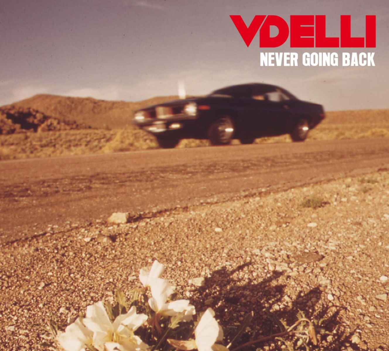 Afbeelding van Vdelli - Never Going Back