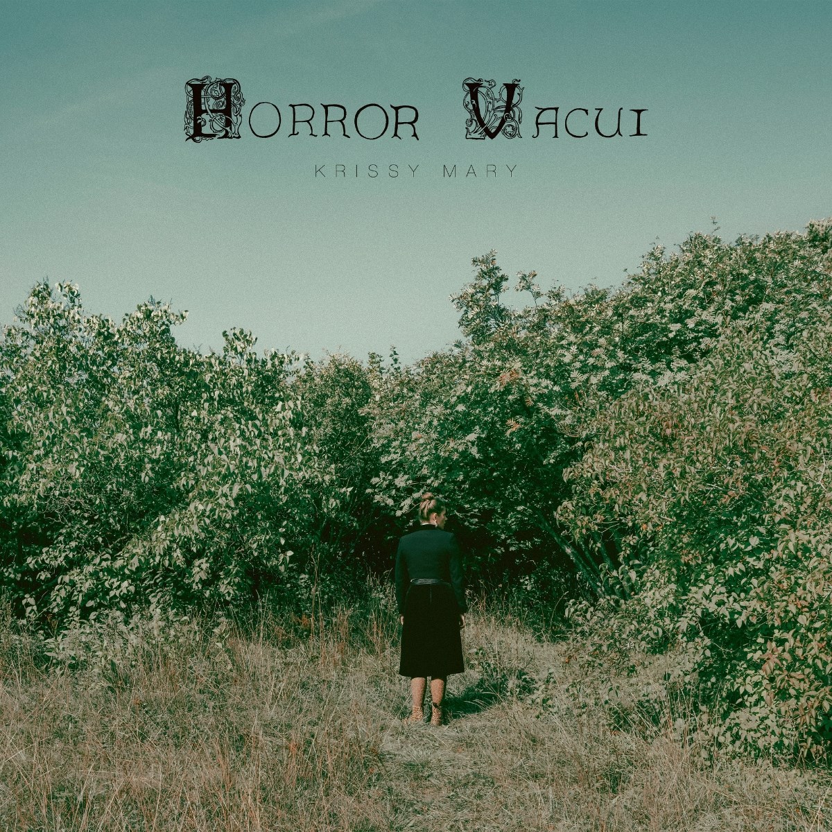 Afbeelding van Krissy Mary - Horror Vacui