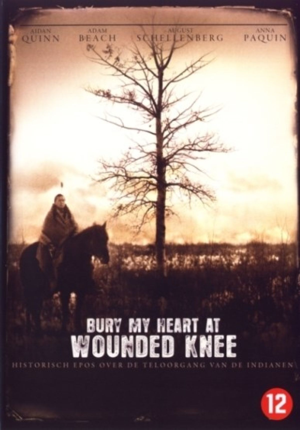 Afbeelding van Bury My heart At wounded knee