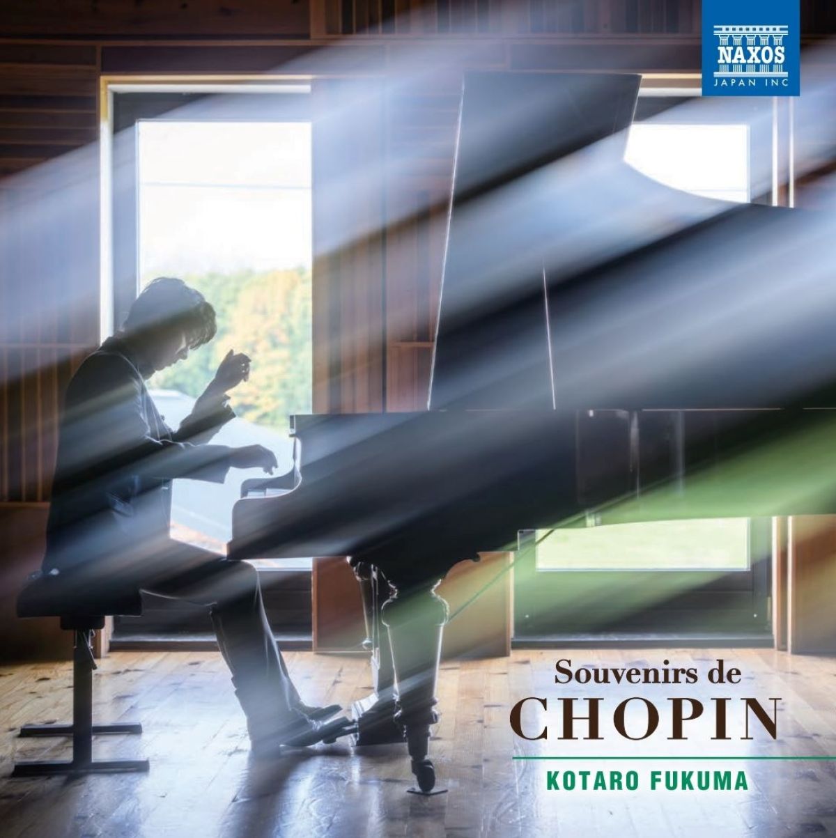Afbeelding van Kotaro Fukuma - Souvenirs De Chopin