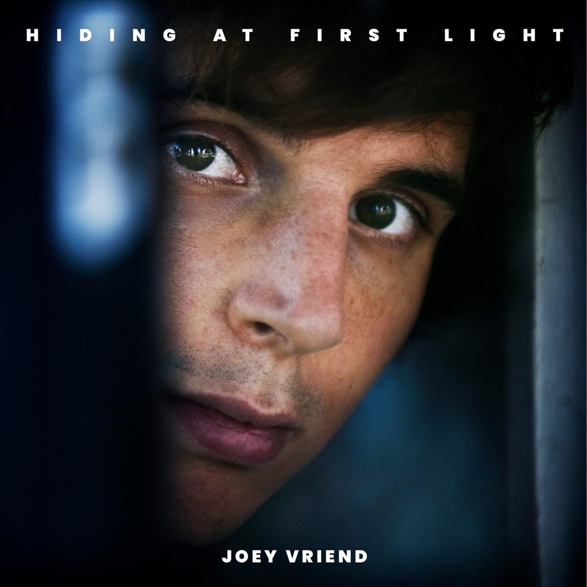 Afbeelding van Joey Vriend - Hiding At First Light