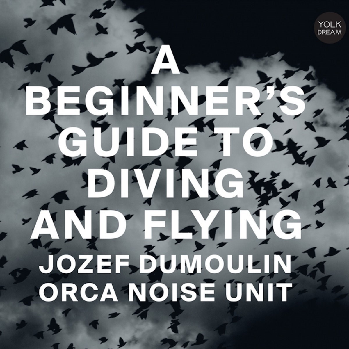 Afbeelding van Jozef Dumoulin & Orca Noise Unit - A Beginner's Guide To Diving And Flying