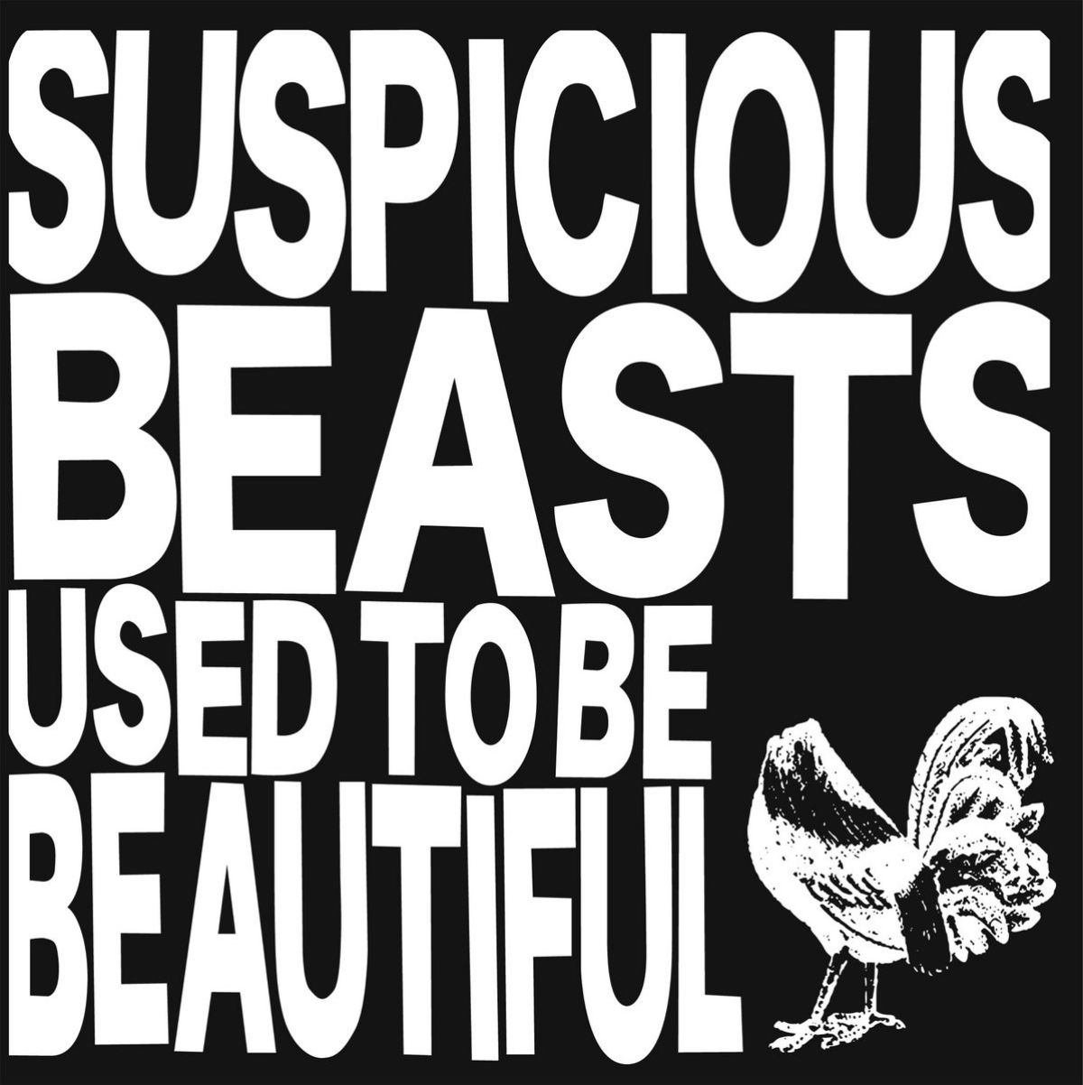 Afbeelding van Suspicious Beasts - Used To Be Beautiful