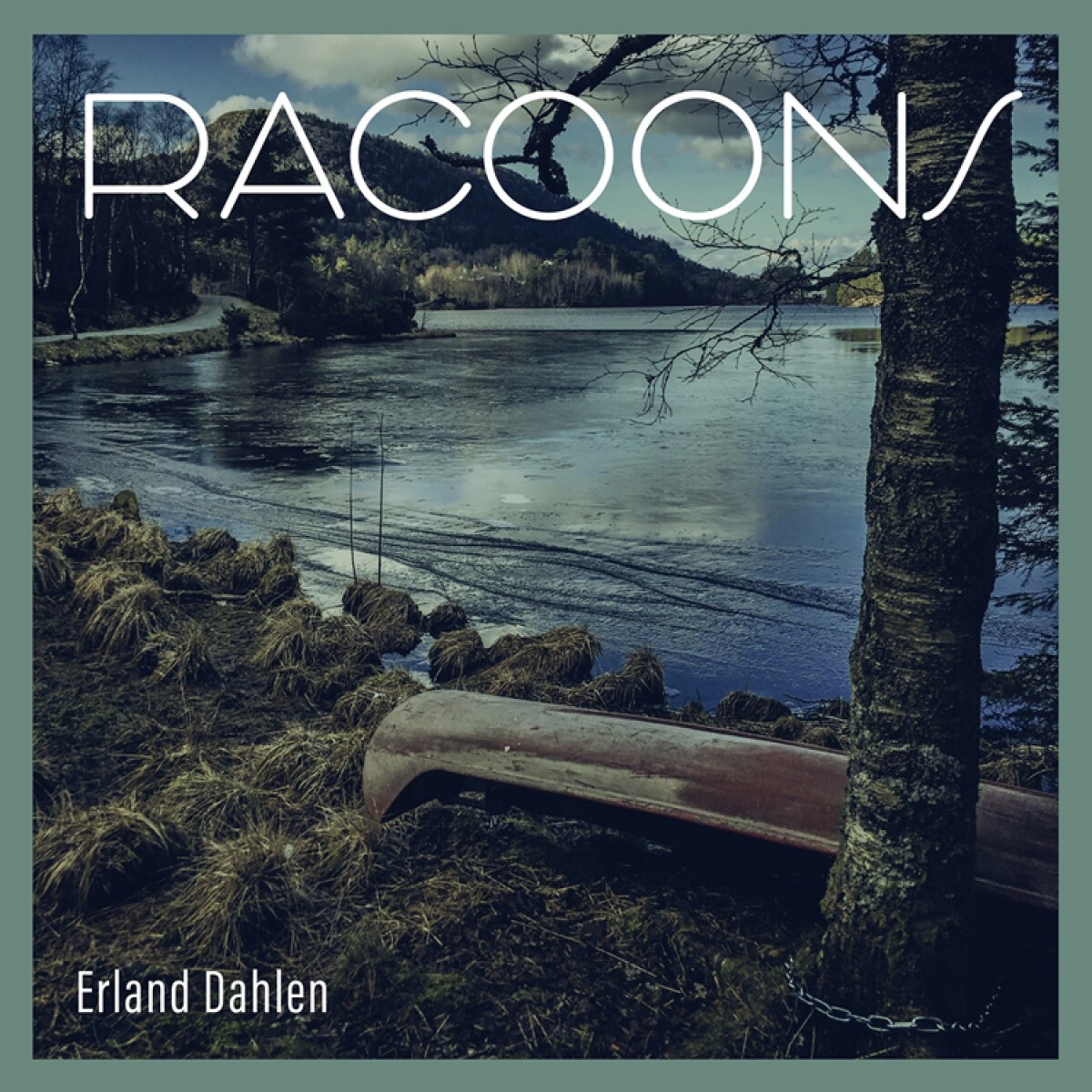 Afbeelding van Erland Dahlen - Racoons