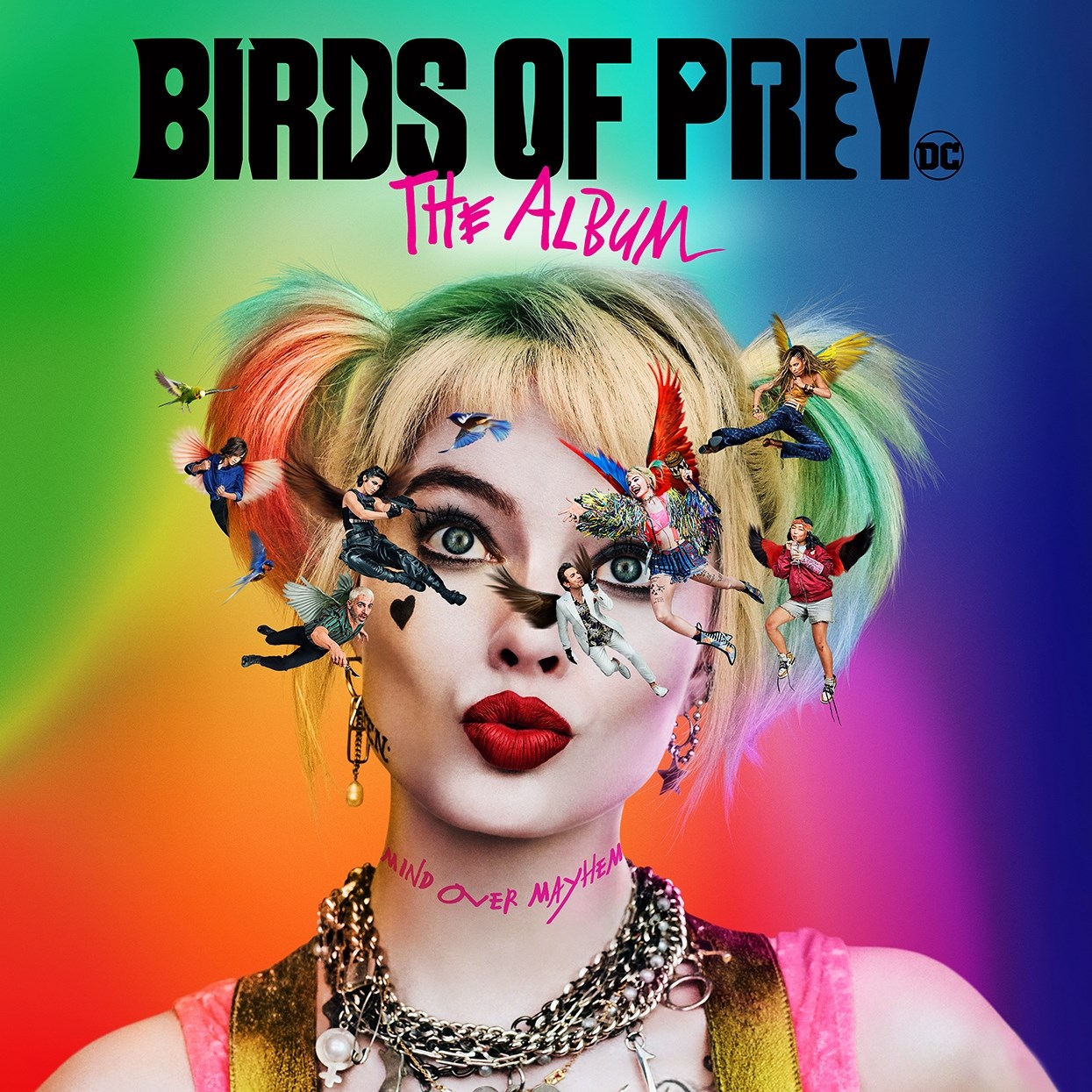 Afbeelding van Various Artists - Birds Of Prey (The Album)