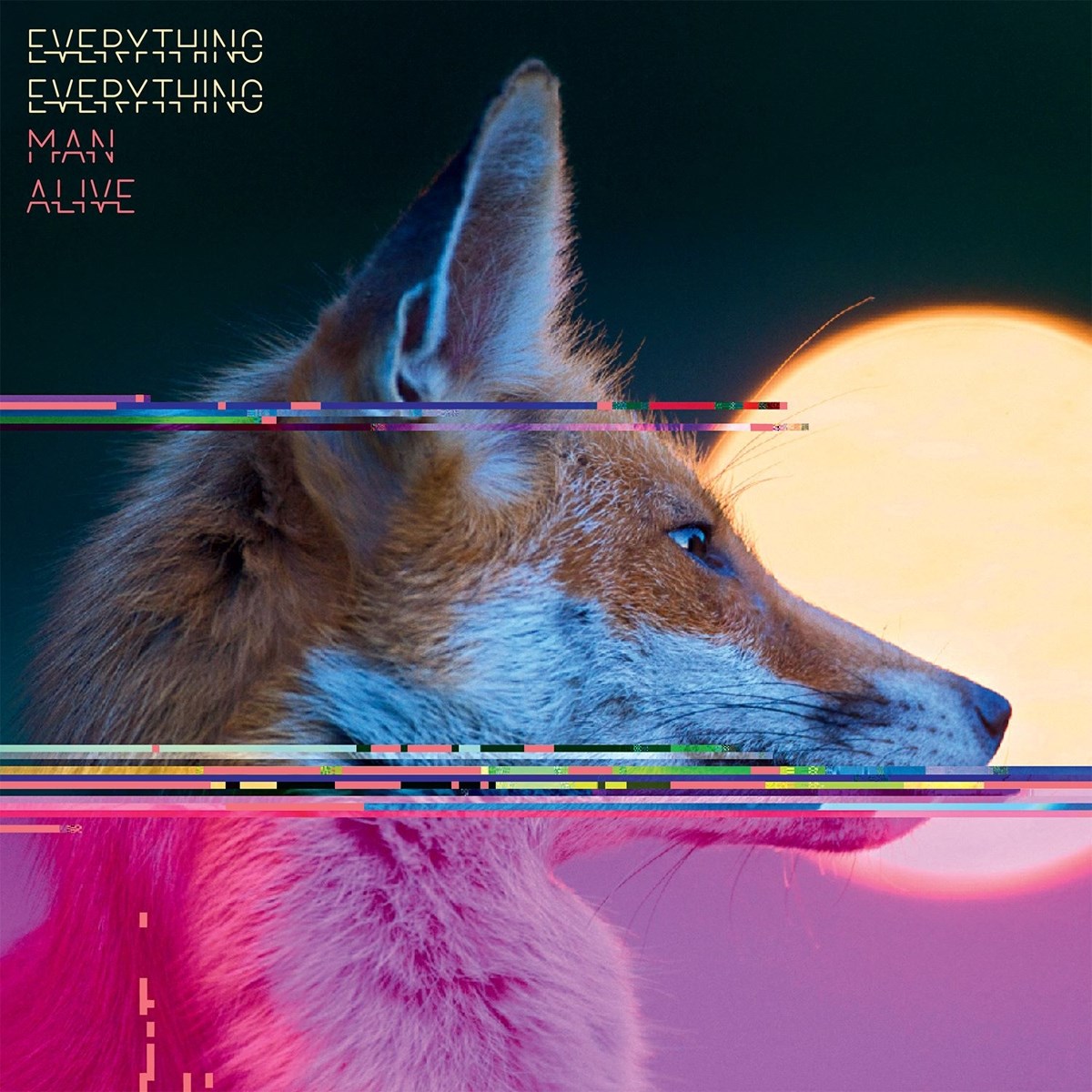 Afbeelding van Everything Everything - Man Alive