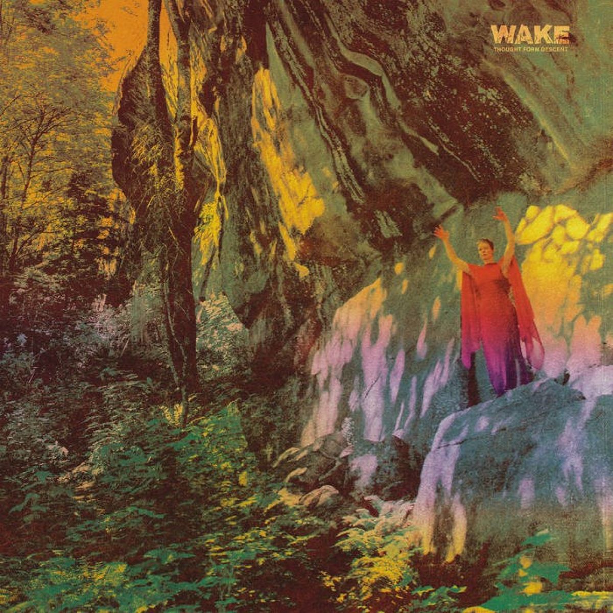 Afbeelding van Wake - Thought Form Descent