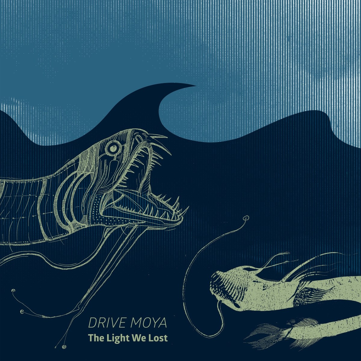 Afbeelding van Drive Moya - The Light We Lost