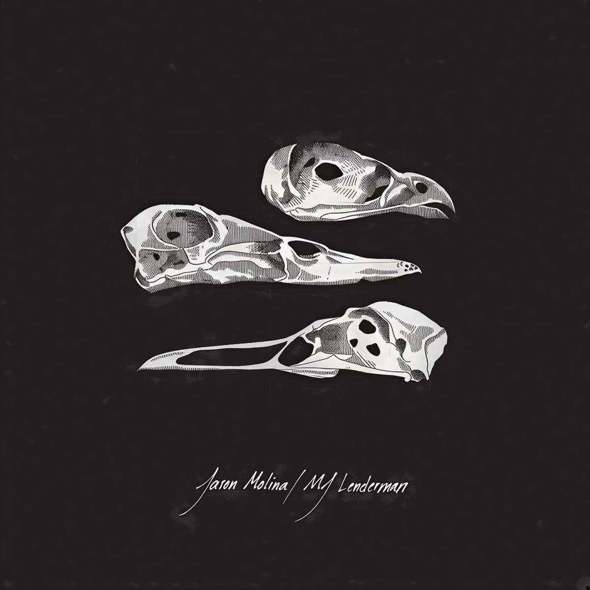 Afbeelding van Jason Molina & MJ Lenderman - The Last Three Human Words / Just Be Simple