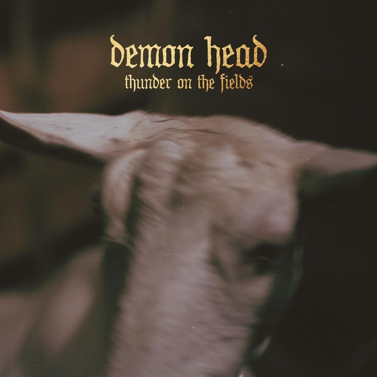 Afbeelding van Demon Head - Thunder On The Fields