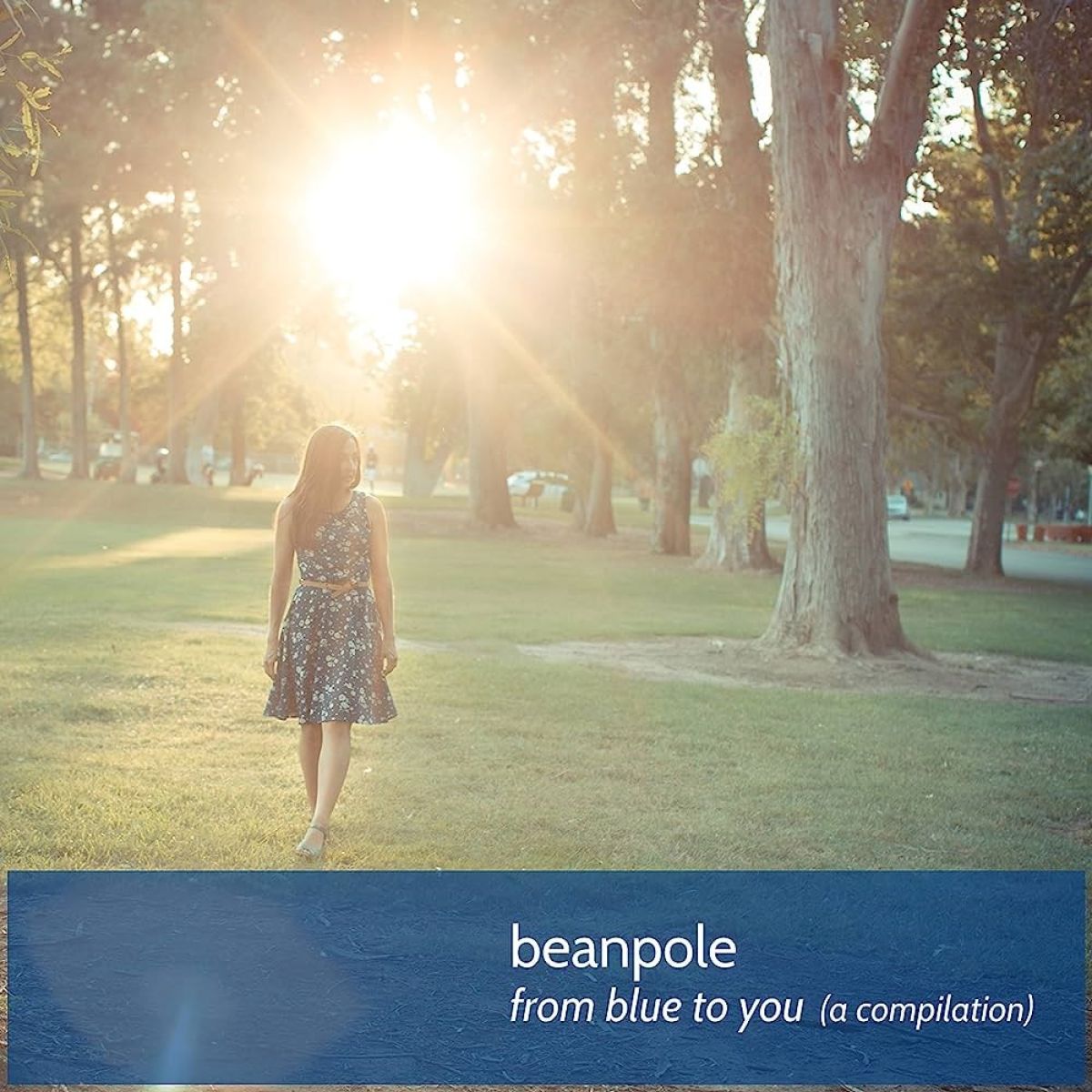 Beanpole - From Blue To You (a Compilation)
