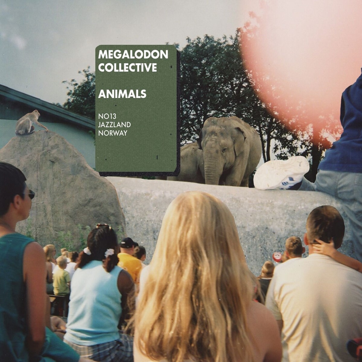 Afbeelding van Megalodon Collective - Animals