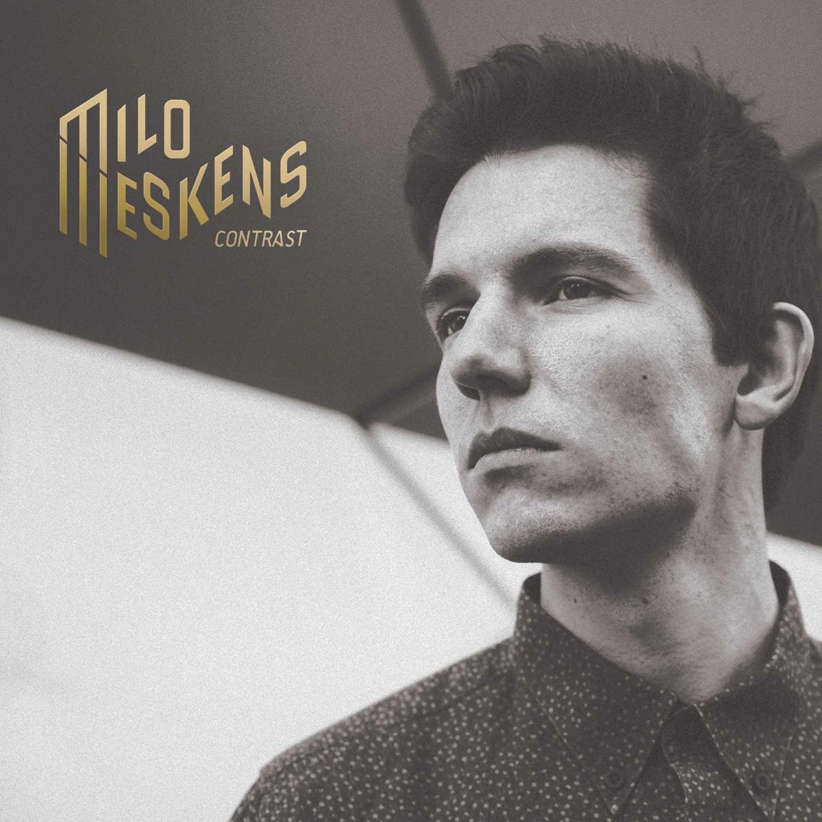 Afbeelding van Milo Meskens - New Beginning