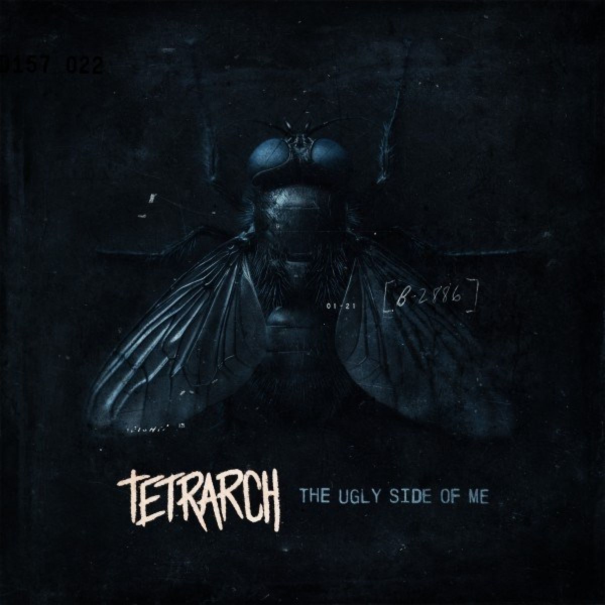 Afbeelding van Tetrarch - The Ugly Side Of Me