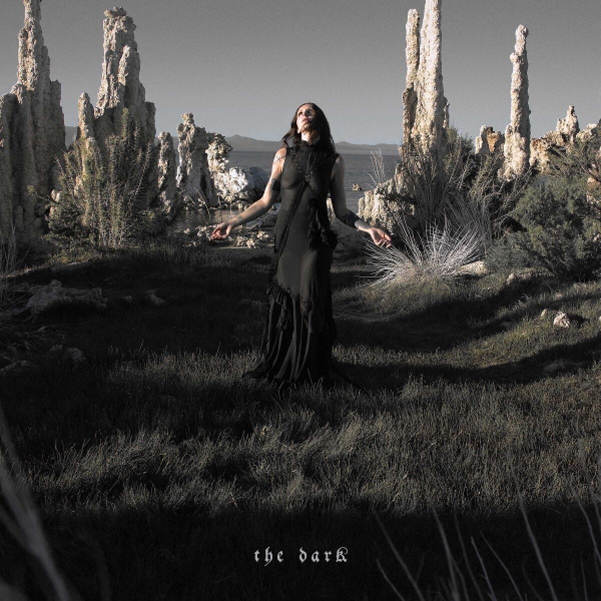 Afbeelding van Chelsea Wolfe - The Dark