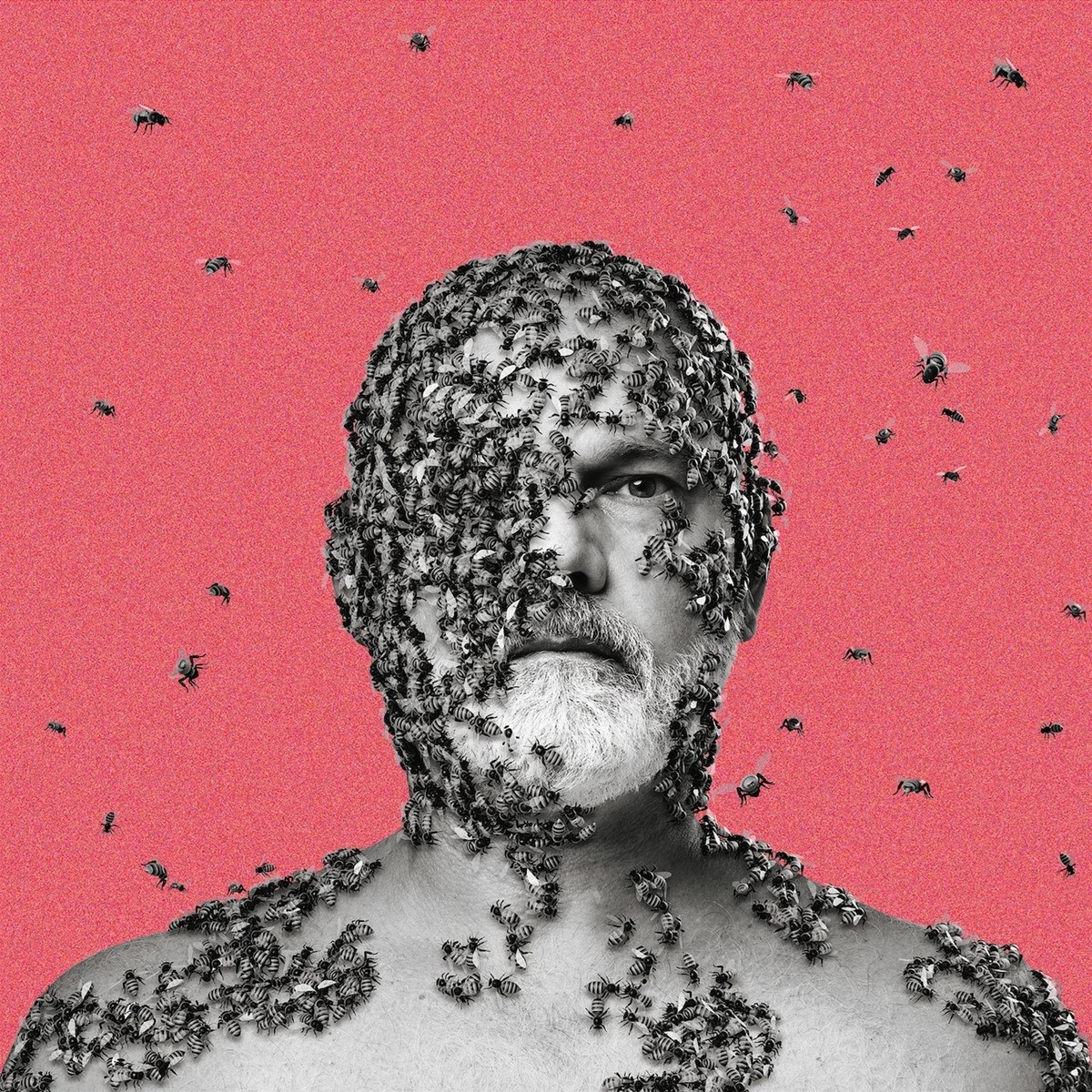 Afbeelding van Carson - The Wilful Pursuit Of Ignorance
