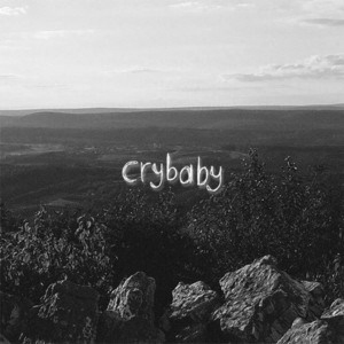 Afbeelding van Crybaby - Coming Undone