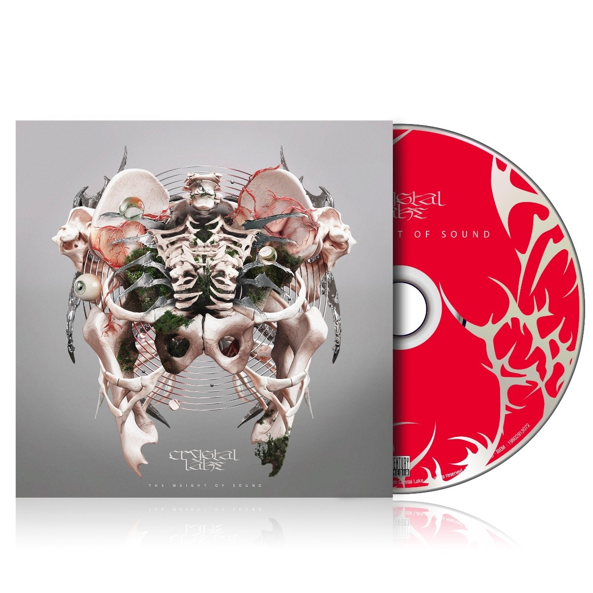 Afbeelding van The Weight of Sound