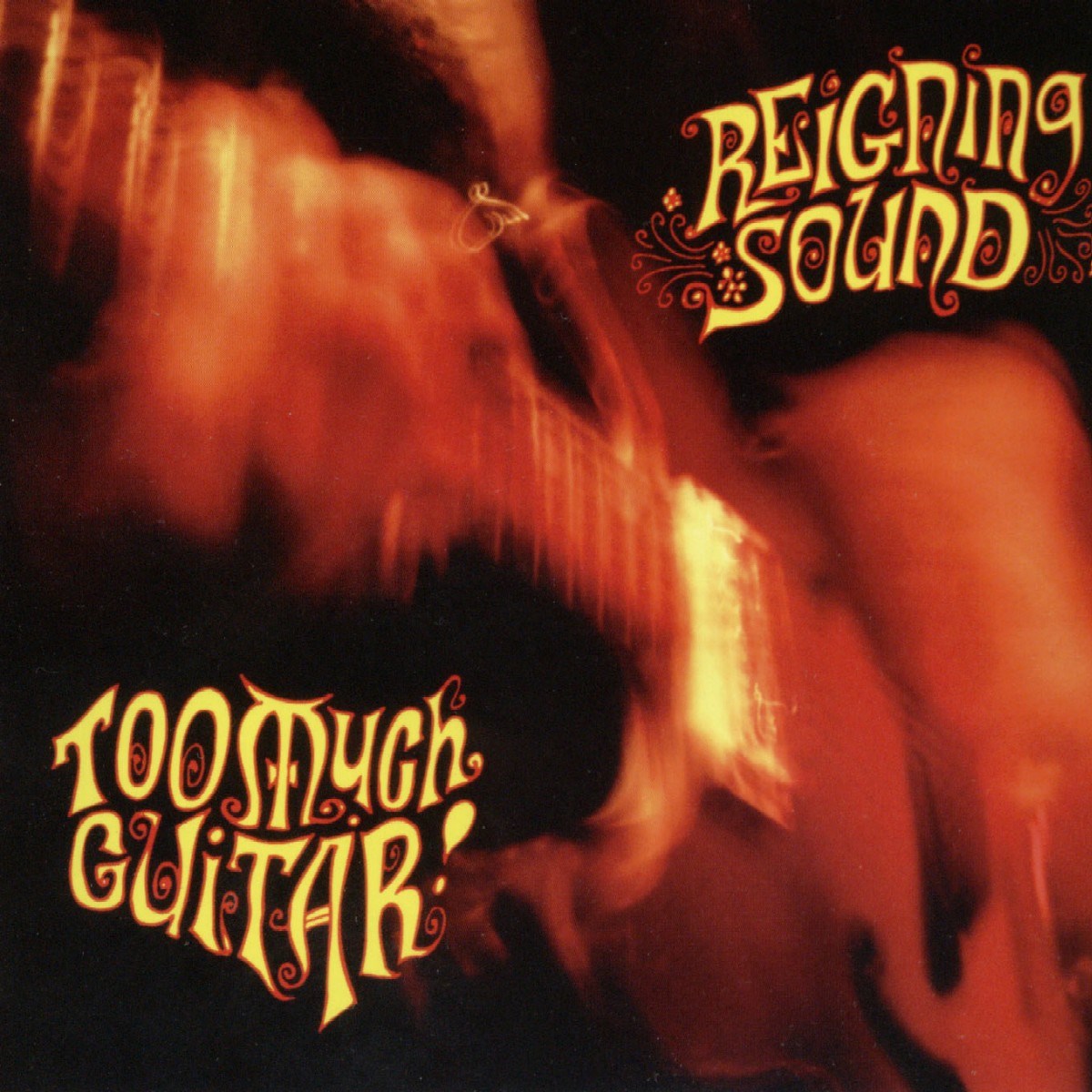 Afbeelding van Reigning Sound - Too Much Guitar