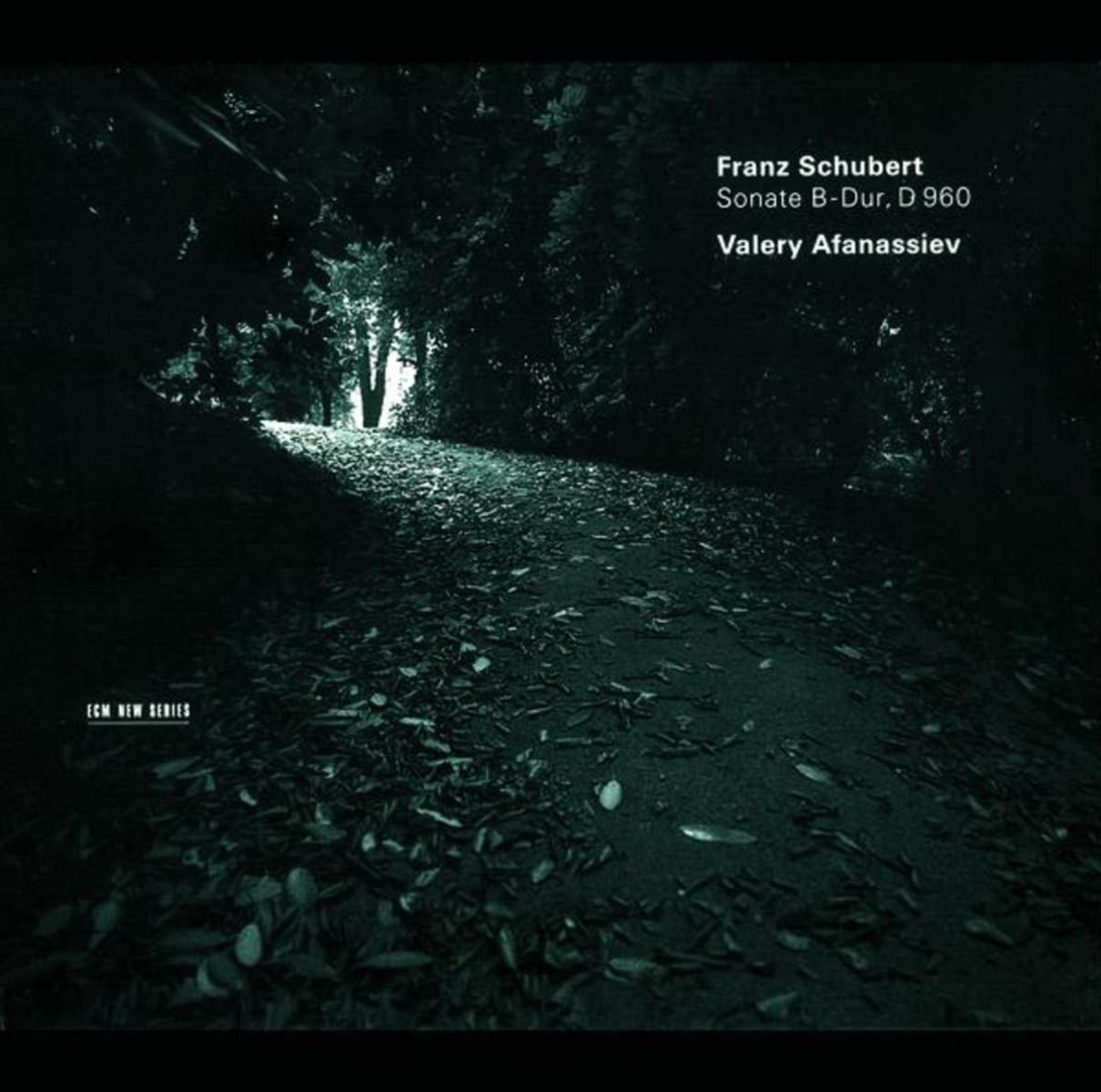 Afbeelding van Valery Afanassiev - Schubert: Sonate B-Dur, D 960