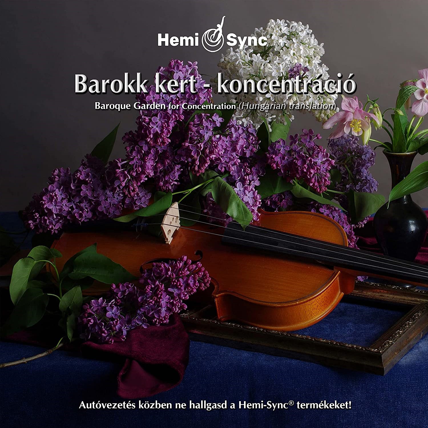 Afbeelding van Arcangelos Chamber Ensemble - Barokk Kert-Koncentracio (Hungarian Baroque Garden