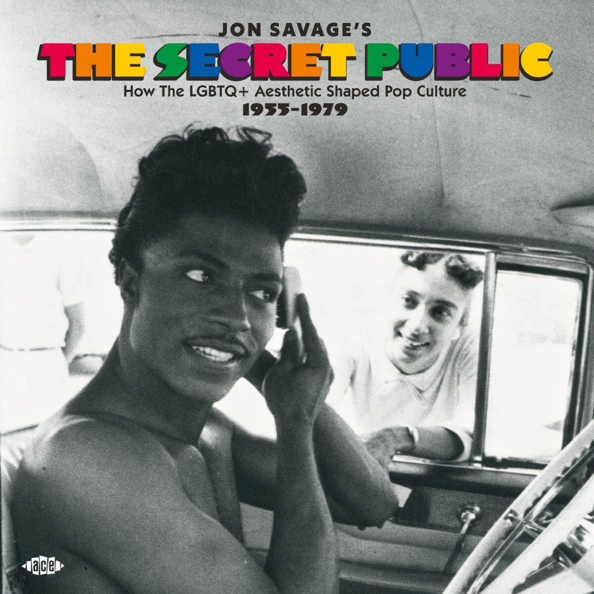 Afbeelding van Various Artists - Jon Savage's The Secret Public