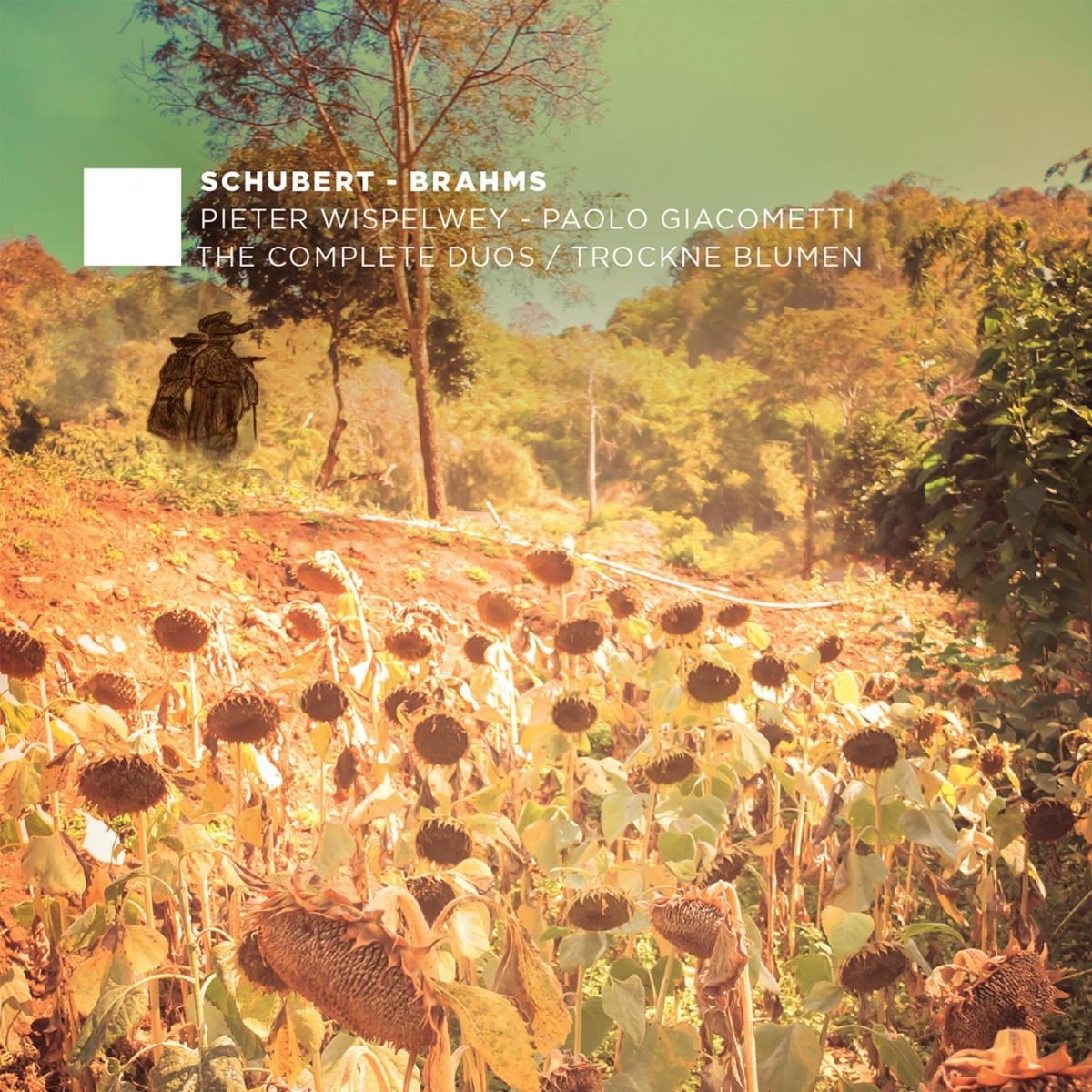 Afbeelding van Pieter Wispelwey & Paolo Giacometti - The Complete Duos | Trockne Blumen