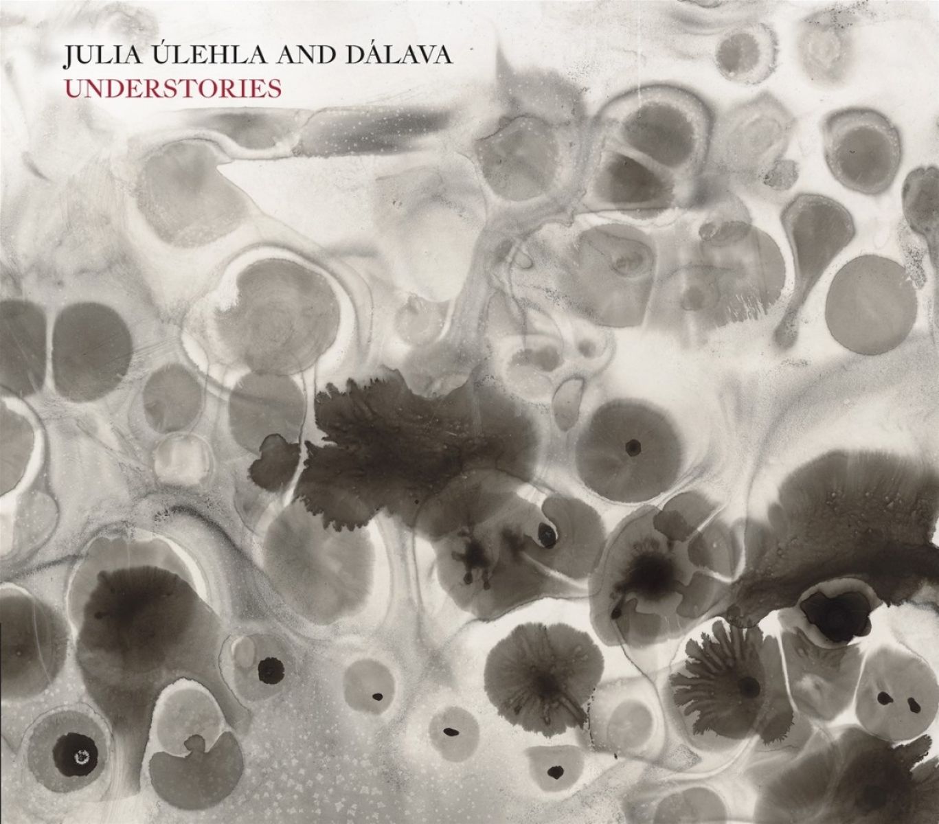Afbeelding van Julia Ulehla & Davala - Understories