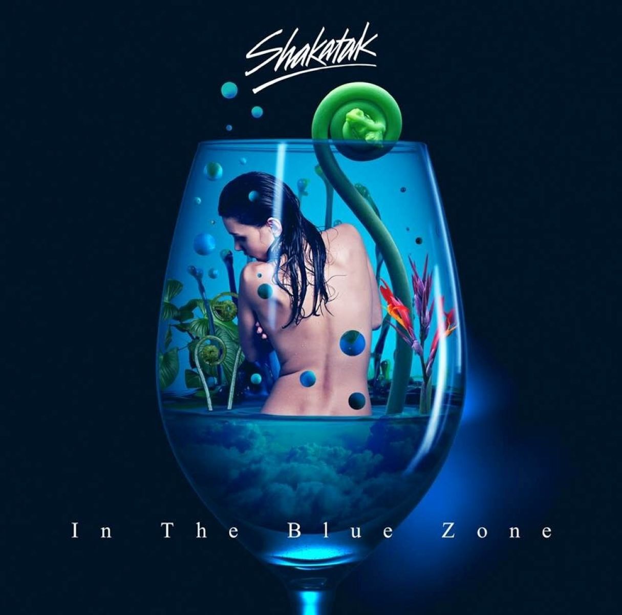 Afbeelding van Shakatak - In The Blue Zone