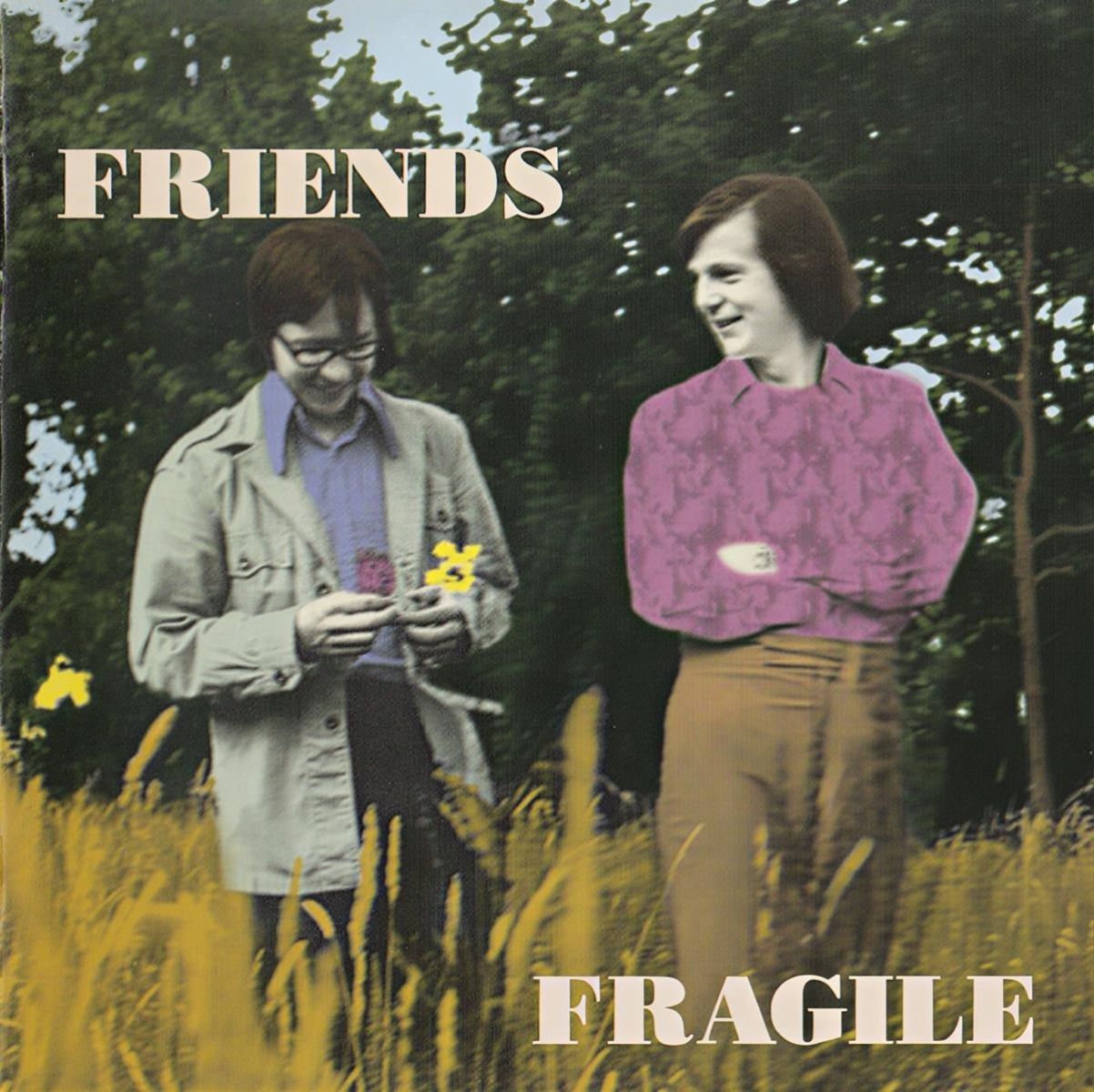 Afbeelding van Friends - Fragile