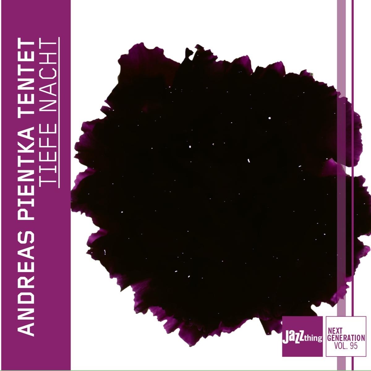 Afbeelding van Tiefe Nacht - Jazz Thing Next Generation Vol. 95