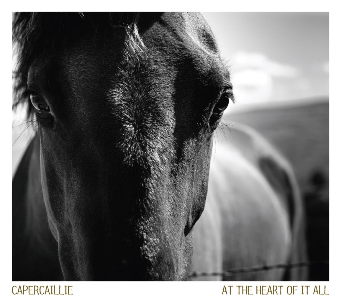Afbeelding van Capercaillie - At The Heart Of It All