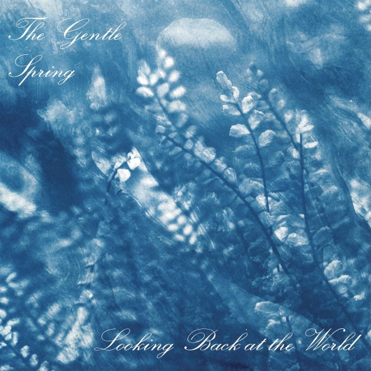 Gentle Spring - Looking Back At The World