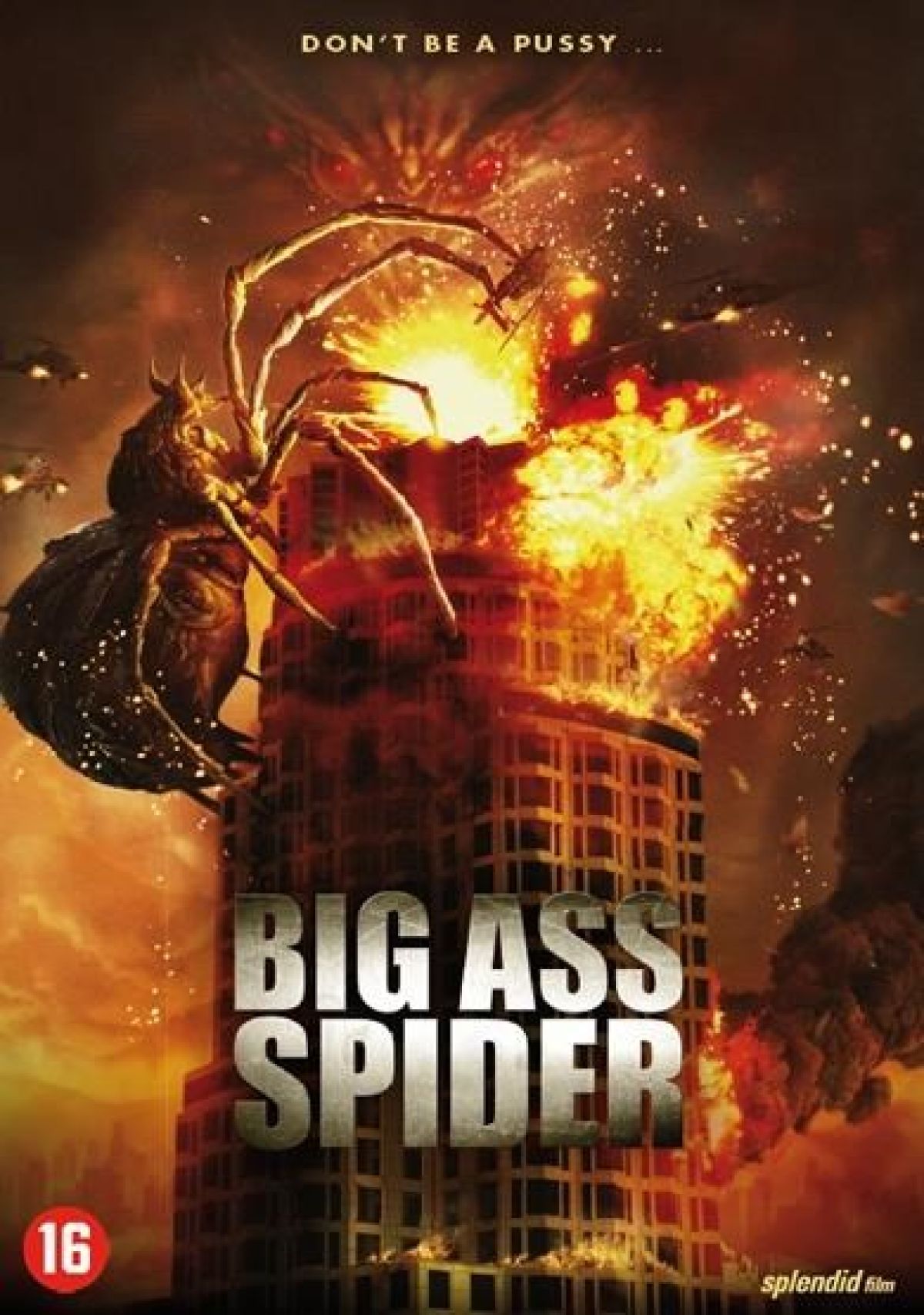 Afbeelding van Big Ass Spider